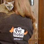 pet-hotel-logotipas-katinu-spinta